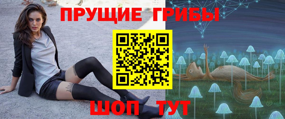 Галлюциногенные грибы мицелий Белая Калитва