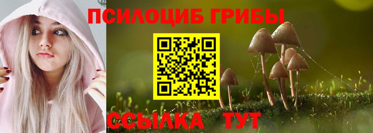 Белая Калитва  Галлюциногенные грибы Psilocybe  Вход с VPN 